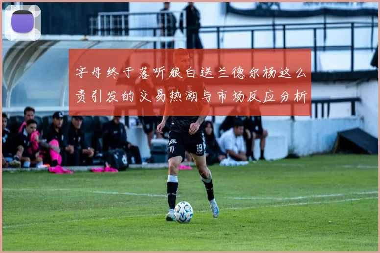 字母终于落听狼白送兰德尔杨这么贵引发的交易热潮与市场反应分析